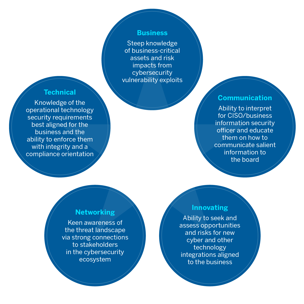 Board Cyber Strategist Skills Constellation